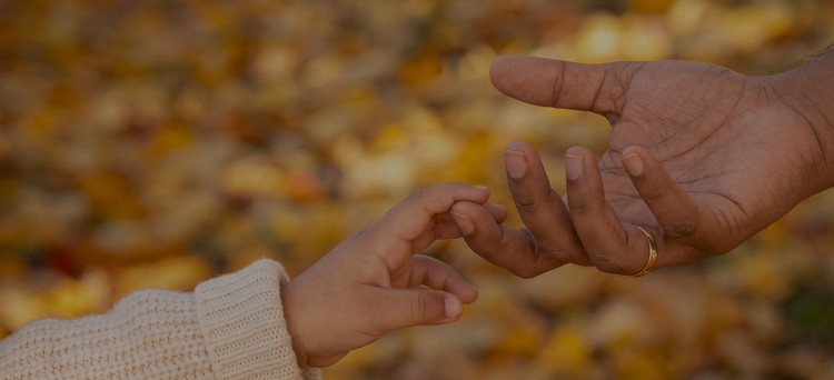 Banner Image Desktop